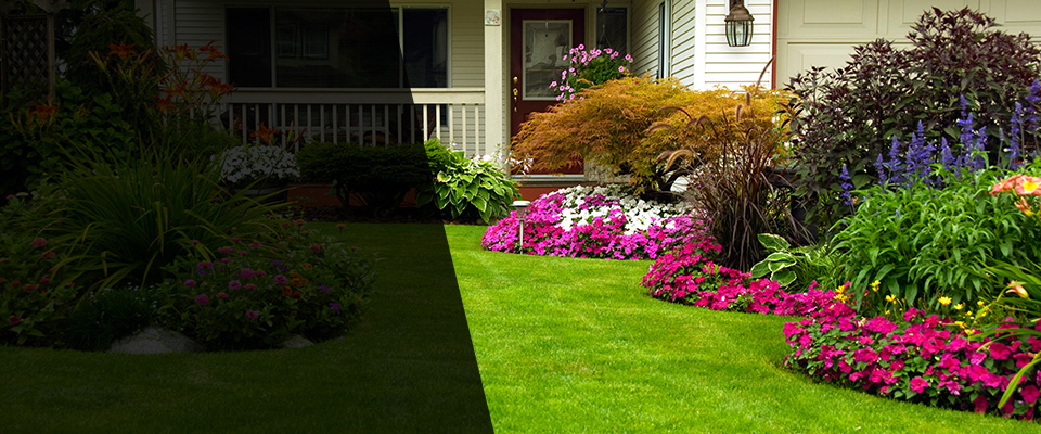 Pasadena Landscapers